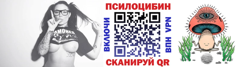 Галлюциногенные грибы Cubensis  где найти наркотики  Дно 